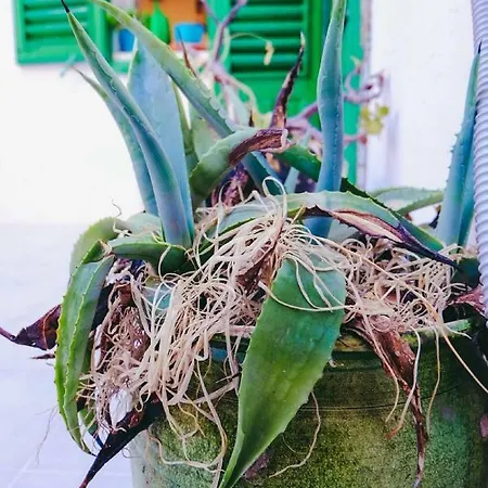 Ferienhaus Dimora Storica Monopoli