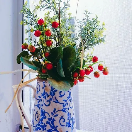 Dimora Storica 度假居 莫诺波利