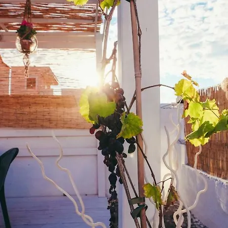 Dimora Storica 莫诺波利