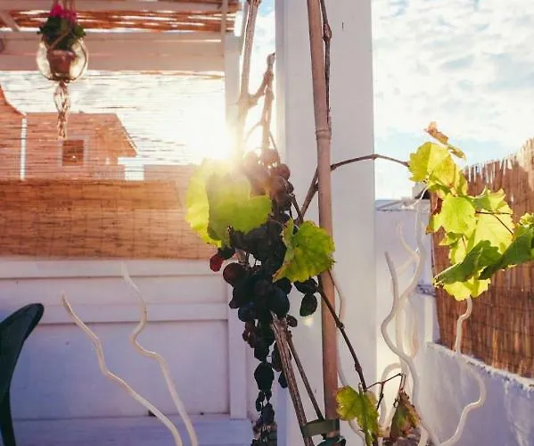 Dimora Storica Monopoli